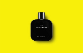 網(wǎng)站制作之The Gang