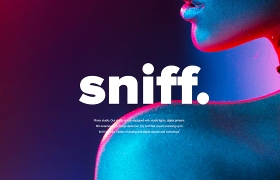 網(wǎng)站設(shè)計之Sniff設(shè)計方案