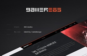 網(wǎng)站設(shè)計(jì)之Gamer365 Elastic Framework