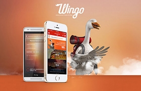 網(wǎng)站設(shè)計之土耳其航空公司