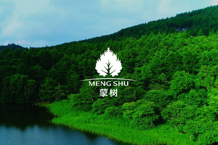 蒙樹集團(tuán)