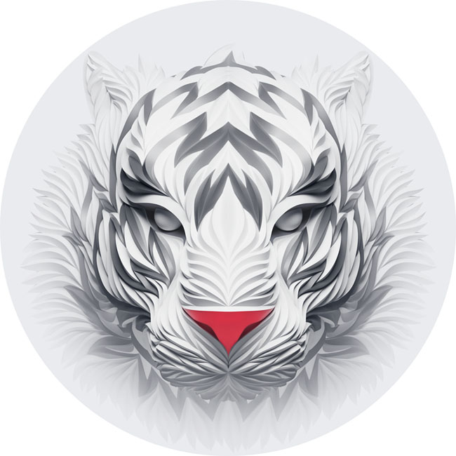 網(wǎng)站制作和君網(wǎng)站設(shè)計