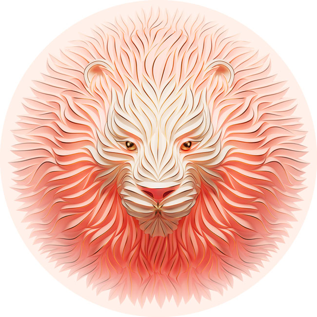 網(wǎng)站制作和君網(wǎng)站設(shè)計